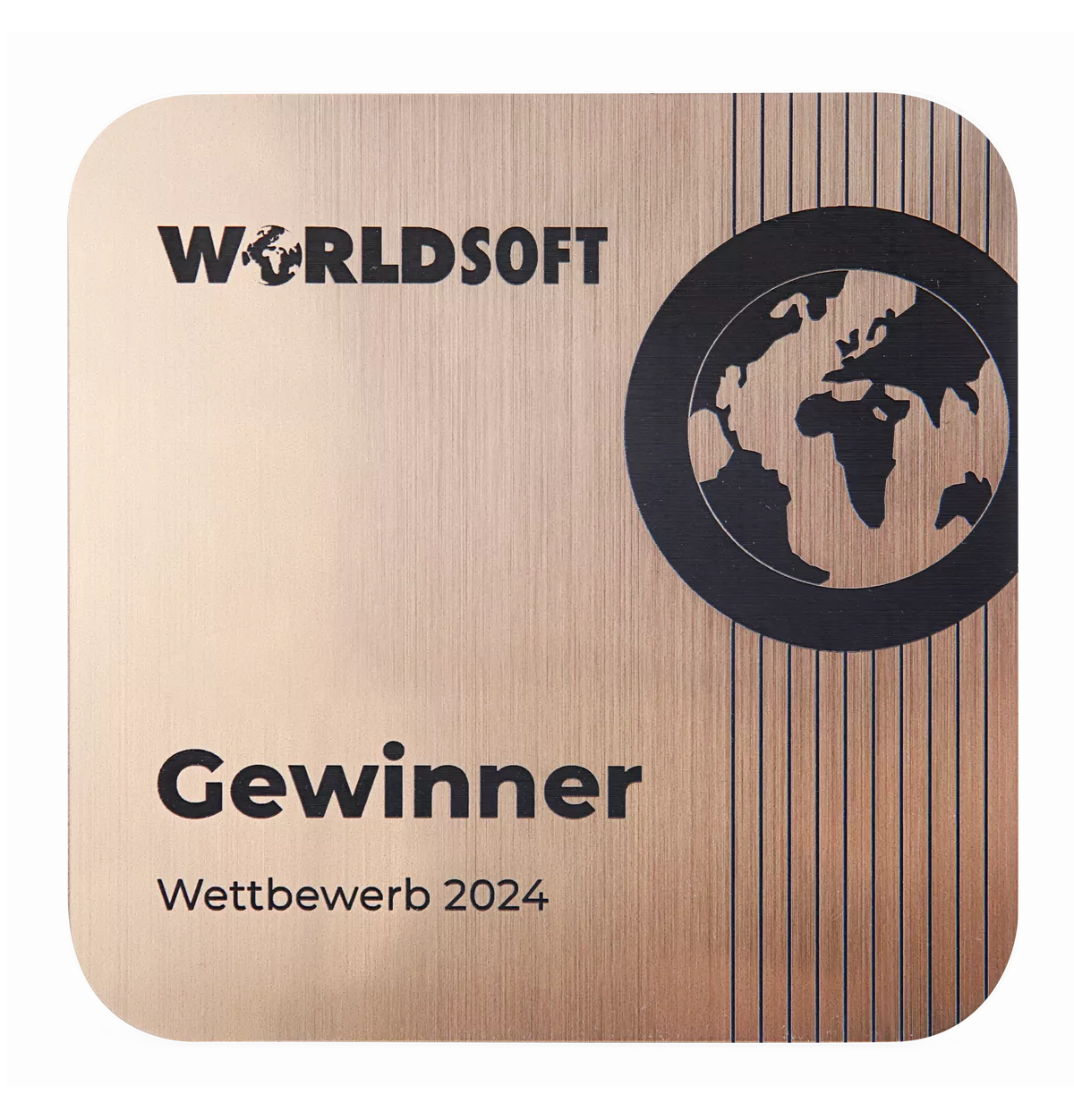 Worldsoft Gewinner-Wettbewerb 2024-Webdesign LT web-solution